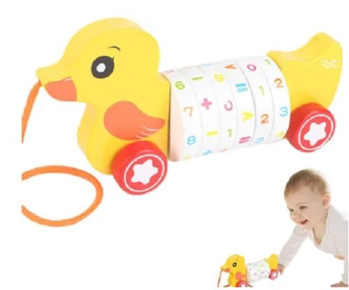 PATO MATEMATICO.2jpg