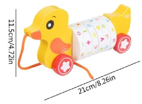 PATO MATEMATICO.3jpg